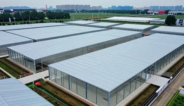 装修后如何科学维护软装搭配的实用建议
